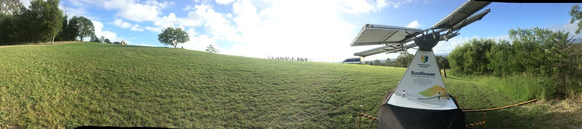 Dawn Yoga and Solar Sunflower Hilltop #WoodfordFolkFestival #SCUSolarSunflower #SouthernCrossUniversity