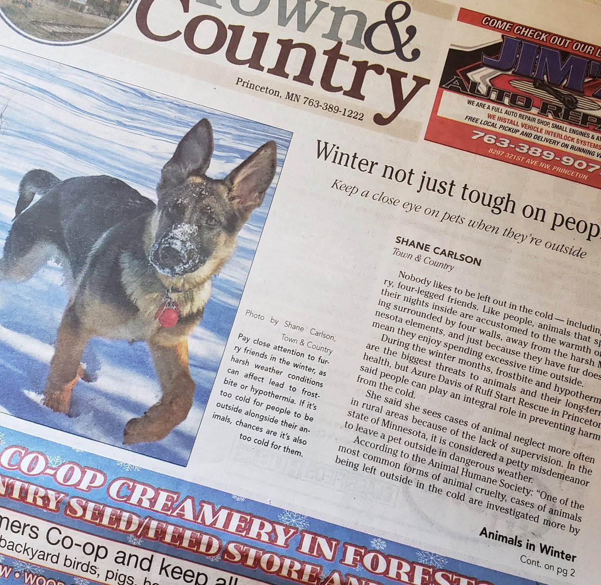 ruffstartrescue's tweet photo. As temps drop, don’t forget about your pets! @ruffstartrescue Founder &amp; Executive Director @AzureDavis explains how to keep them safe in these Union Times and Town &amp; Country articles. #ruffstartrescue #rescuedogs https://t.co/5PihIR5azk