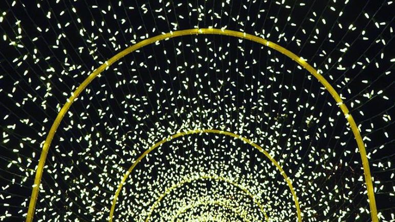 Chickasaw's tweet photo. Have you visited the Chickasha Festival of Light? Visit this weekend before they are gone for the season! #routecc https://t.co/Q2Q3EKFTTV
