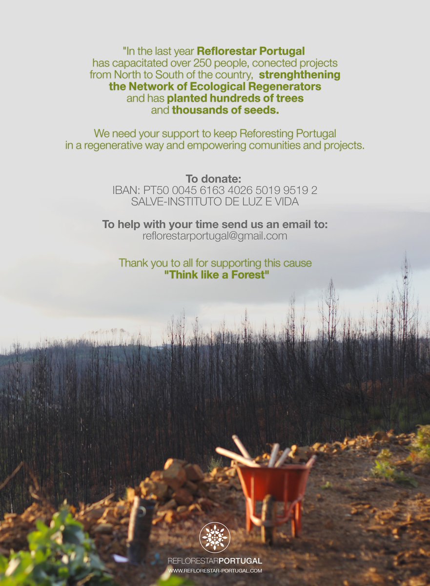 ReflorestarPt's tweet photo. 🙏 ❤️ Thank you to all our Partners, Trainers, Volunteers, Students and Patrons. Together we Plant Water! 🌳💦
#partnership #trainers #volunteers #Students #Patrons 
#thespiritofsyntropy #ecointerventions #reflorestarportugal #mukieshoes #portugal #plantwater #soilregerenation https://t.co/bGbJWNGbSA