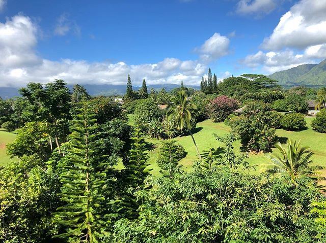 DJ1CON's tweet photo. View from the lanai from our home for the week. Happy holidays indeed! 🌴☀️ #welcometoparadise #kauai #hawaii #familyvacation #happyholidays #nofilterView from the lanai from our home for the week. Happy holidays indeed! 🌴☀️ #welcometoparadise #kauai #hawaii #familyvacation #… https://t.co/RVPzDA5iy0