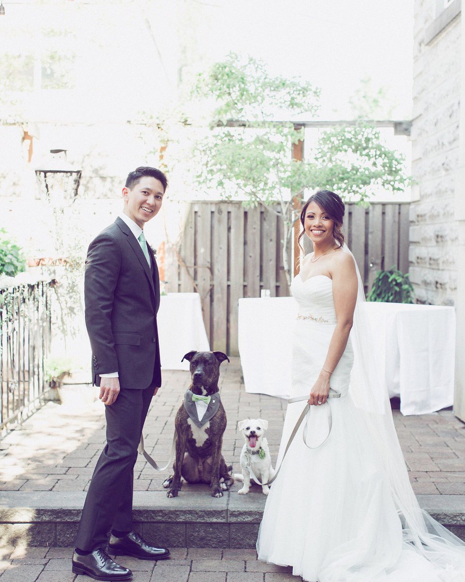 These #FurryFriends are too cute 😍Who agrees?!