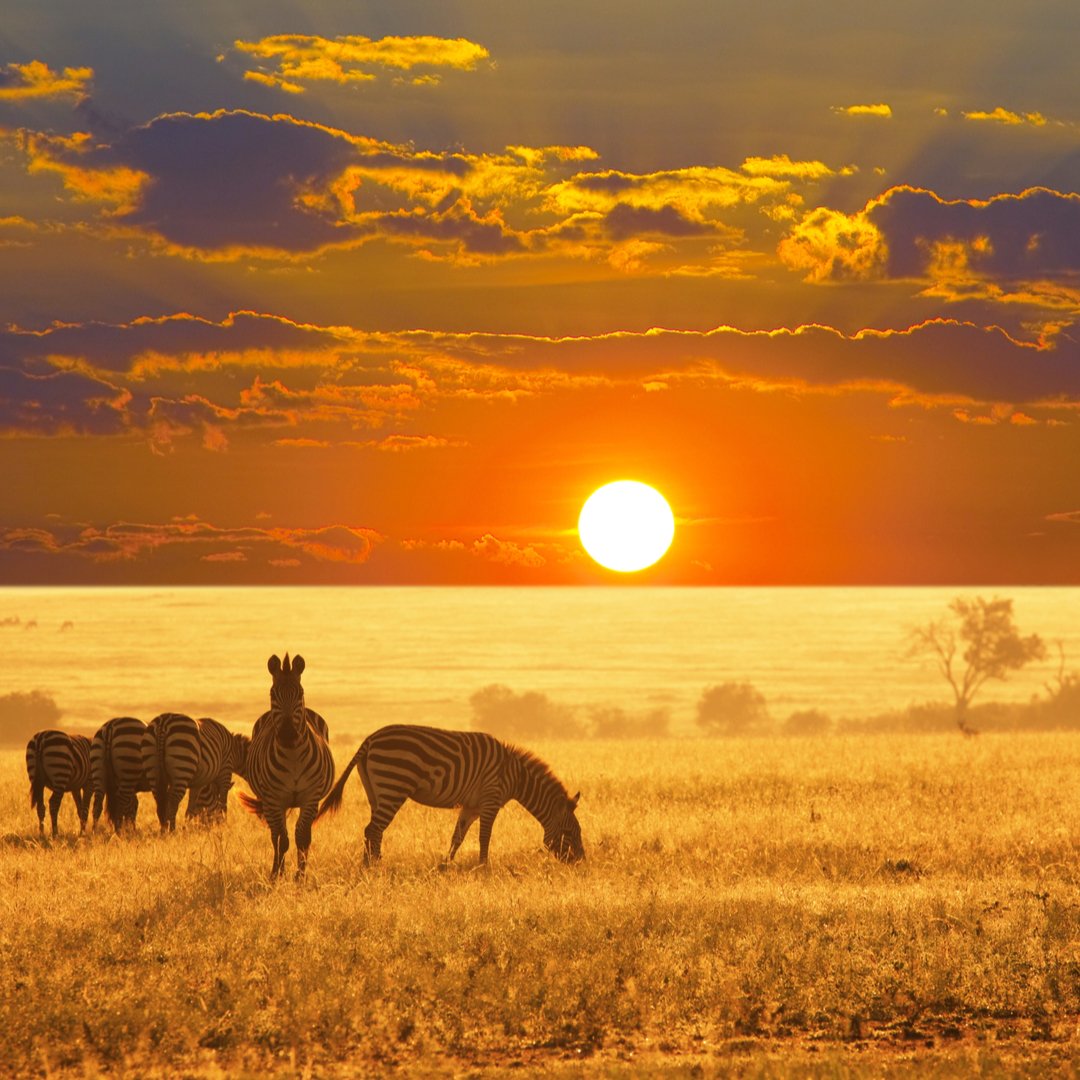 When you smile at a stranger, there is already a minute outflow of energy. You become a giver. Ask yourself often: "What can I give here; how can I be of service to this person, this situation?" ~Eckhart Tolle #ANewEarth (pg.191) #smile #giver #AskYourself #BeOfService