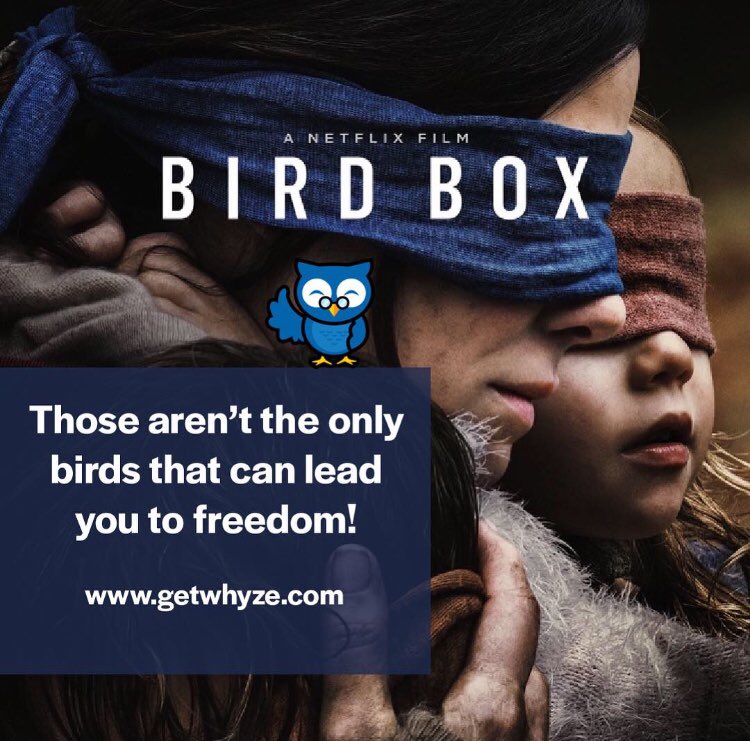 getwhyze's tweet photo. We have the ๐โs to financial freedom, just open your eyes ๐
#financialfreedom #investing #free #stocks #credit #creditcards #budget #retirement #college #birdboxmovie #birdbox #birdboxmemes #getwhyze https://t.co/qkJr2J9VH4