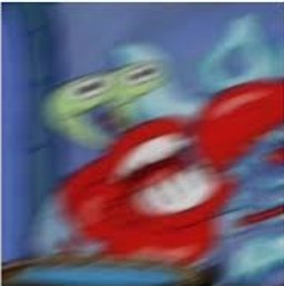senecaciamemes's tweet photo. When you realize you left the water running while filling up your fish tank  @SenecaCIA https://t.co/oh5C9TWihd