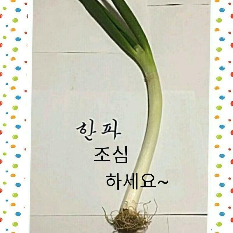 한파보다 경제가 춥습니다.