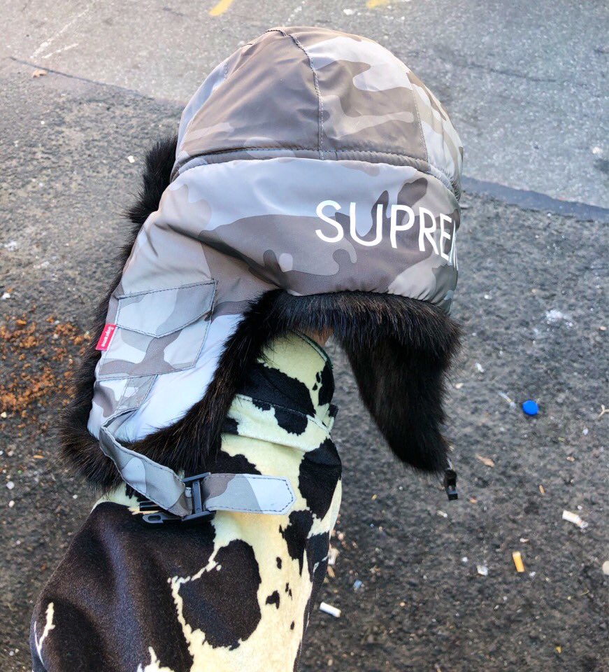 uptod4te's tweet photo. ※実物画像追記
【Supreme】12月29日(土)発売予定 2018FW WEEK19 全商品一覧 価格など #supreme #2018fw #week19 #アイテム一覧 #droplist
詳しくは記事をチェック↓
https://t.co/4ZWlbpLEli
TOP↓
https://t.co/CkDigw3Bid https://t.co/6DDWybDpk3
