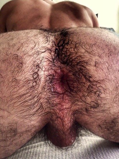 Transsexual slut pics