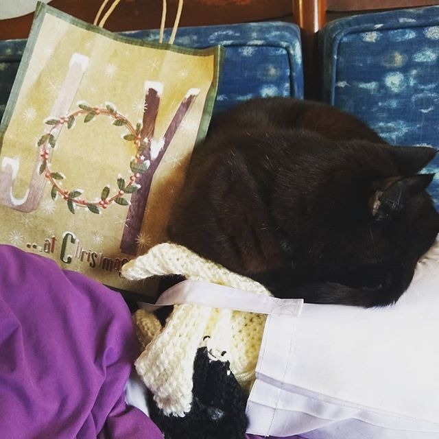 NextBestPet's tweet photo. On the third day of Christmas, my cat sat on... My crocheting and a Christmas present #cats https://t.co/R6zXE1pgty