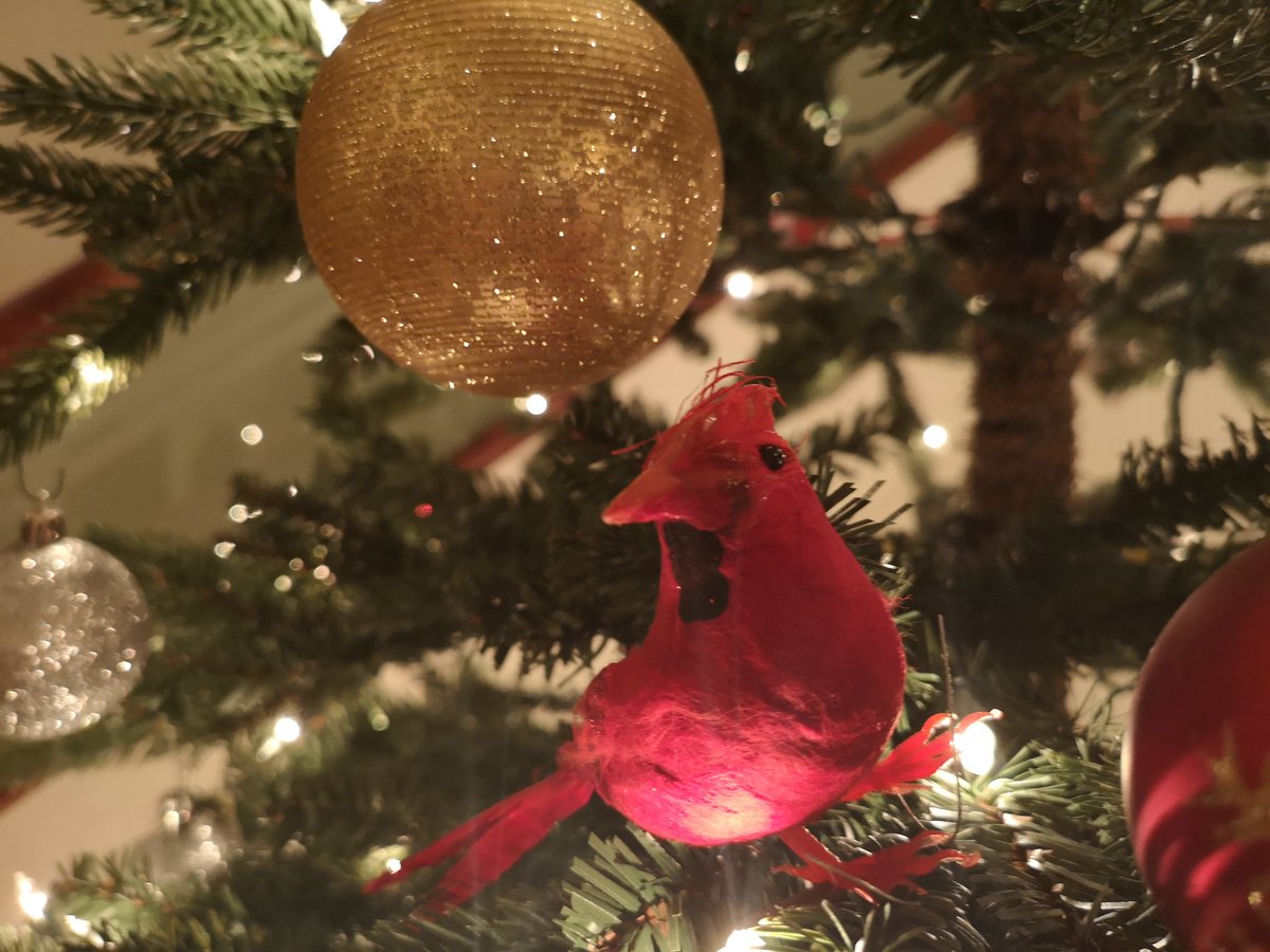 erictucker's tweet photo. Christmas #2 is 10 days away! For us half Armenians, we celebrate the baptism of Jesus as the main event on January 6th. #BirdsOfADifferentFeather #OriginalChristmas #ArmenianChurch #Armenian #IsKimMyCousin? #Christmas https://t.co/HdCDf0mbzQ