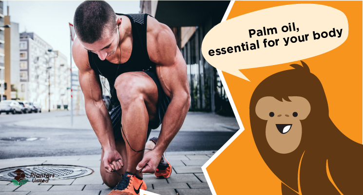 plantersunited's tweet photo. Palm oil supplies fatty acids which are necessary for your body to build cell membranes in your bones, nerves and brain! These micronutrients help you maintain a healthy and functioning body. #PalmOilForHealth, #CheaperNotInferior #OrangUtan #KikiTheOrangUtan https://t.co/E48uWI2cGf