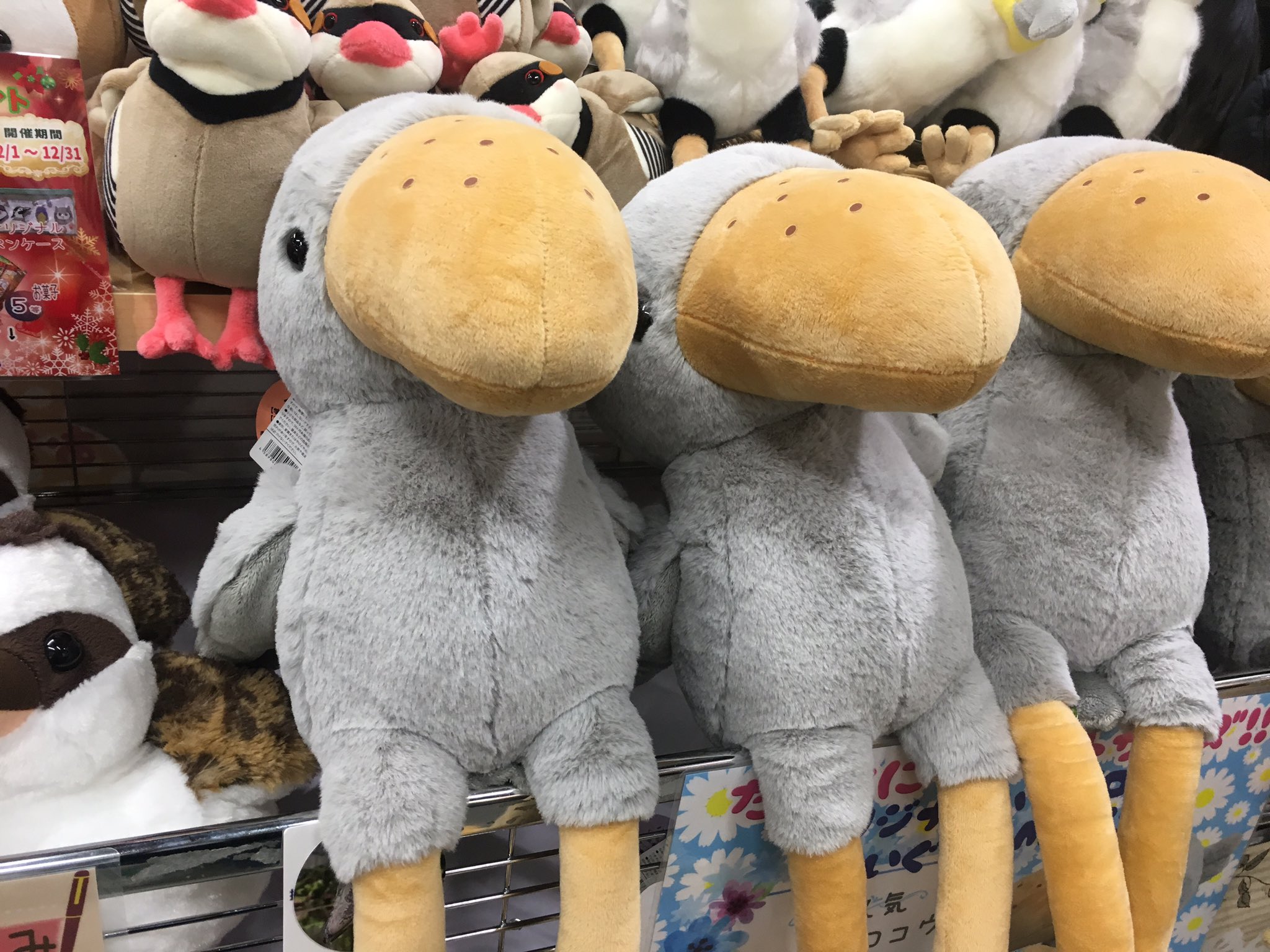 掛川花鳥園　ぬいぐるみ　セット　ミミズク　カワセミ　ヘビクイワシ もちふわミミちゃんぬいぐるみ - 掛川花鳥園公式通販サイト FBPshop