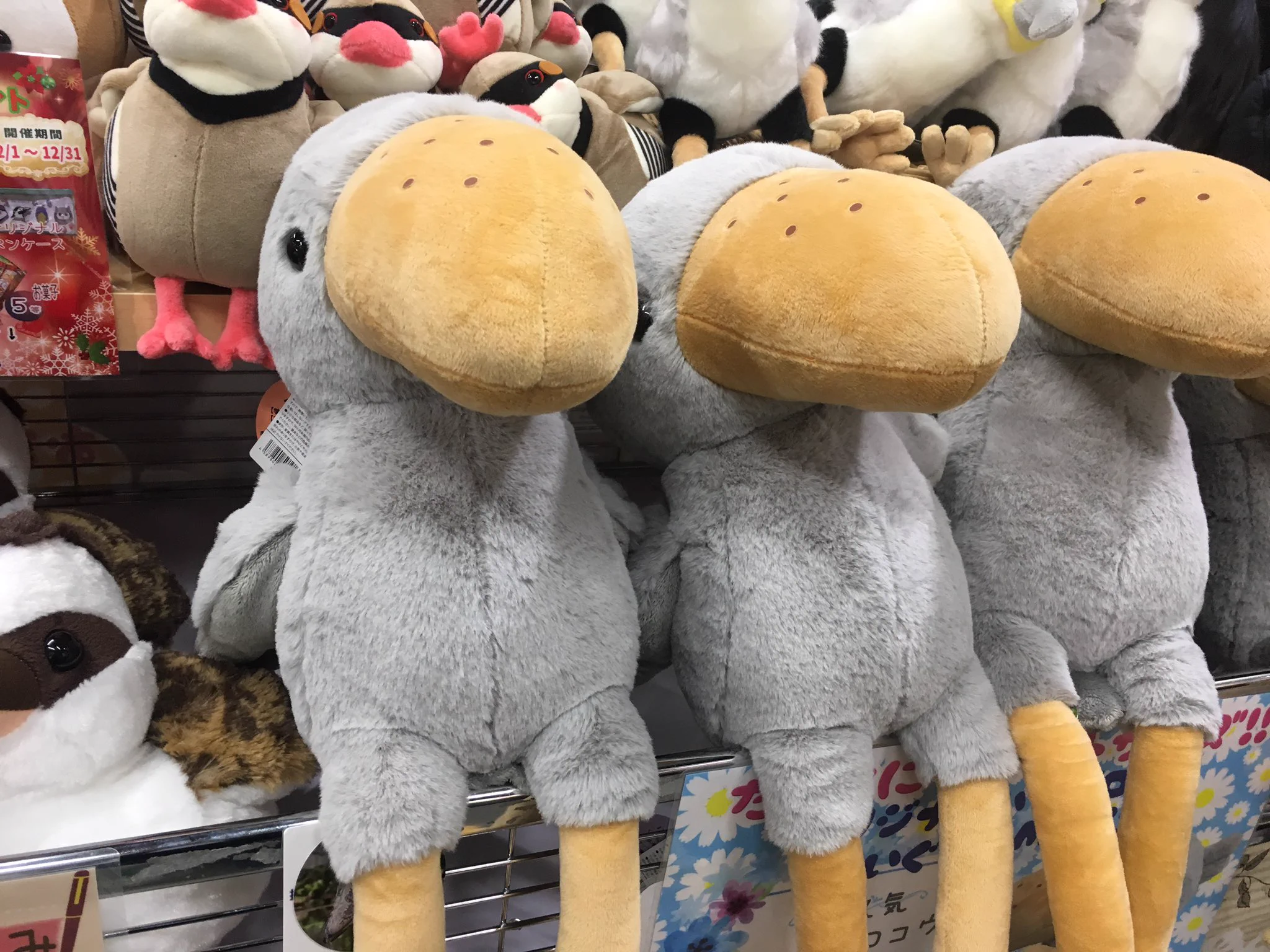 かんたろう on X: 