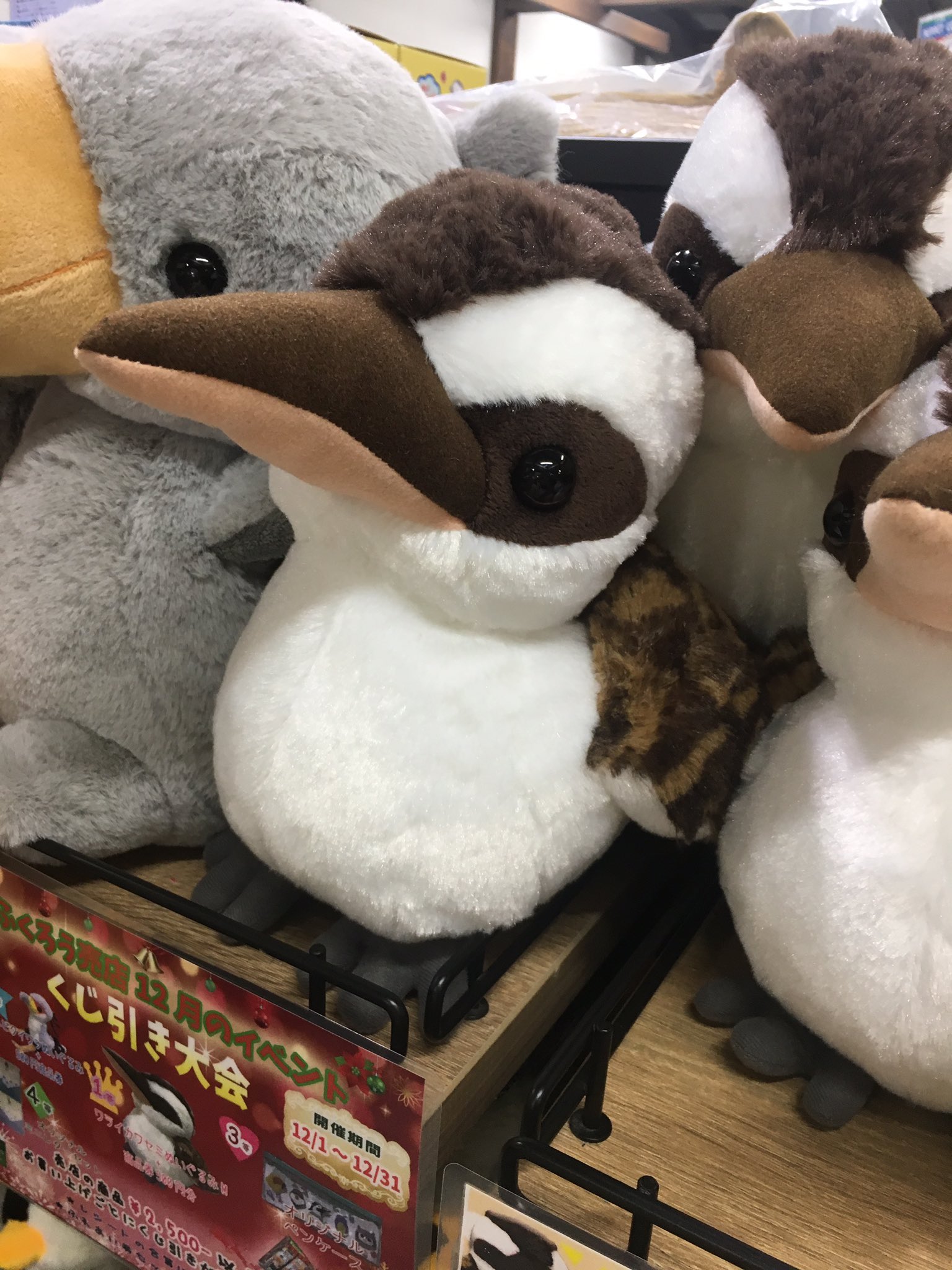 かんたろう on X: かんたろう on X: