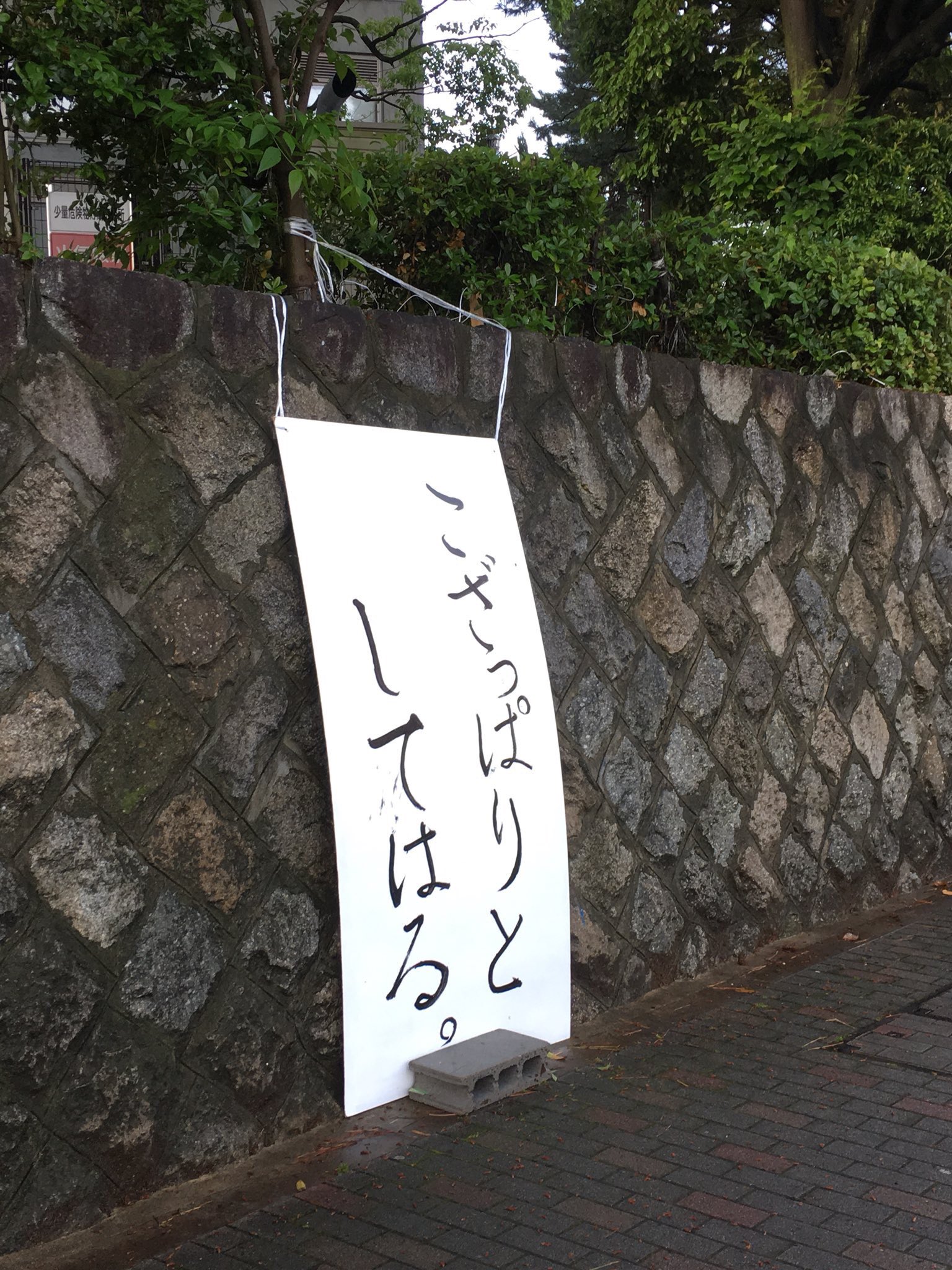 タテカン製作サークル シン ゴリラ こざっぱりとしてはる 設置期間5 14 タテカンの初撤去が行われた翌日に立てられた 撤去後の百万遍の様子を京都弁で皮肉った一言 ちなみに製作者は京都出身ではないウホ