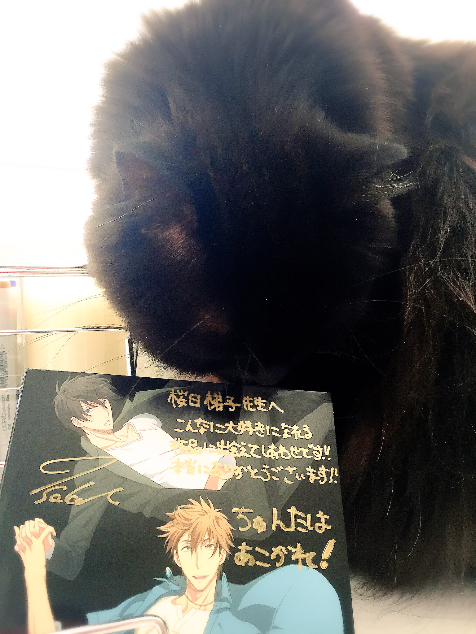 桜日梯子 こちらも頂きました 不完全モノクローグを歌ってくださった佐香さん 素敵なopをありがとうございました こんなに作品を大事にして作って頂けたらどんな原作者も幸せだと思います 本当に感謝です やみ氏だってクンクンせざる得ない Fwf