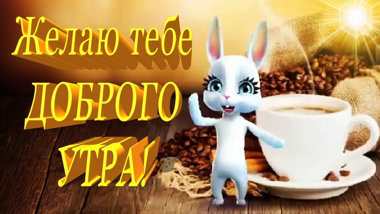 Веселое видео доброе