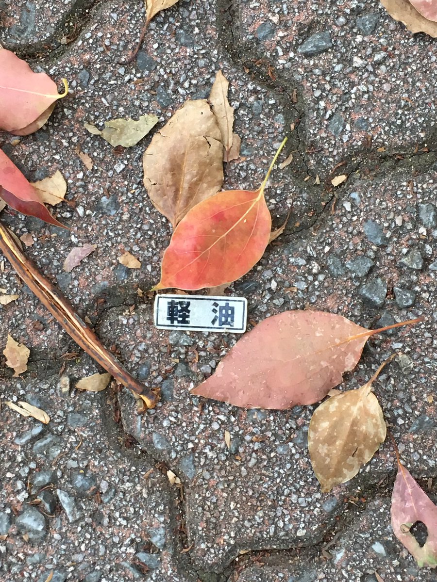 かく　千賀子アイコラ 平成最後に帰ってきた「カメラロールの肥やし」投稿募集します :: デイリーポータルZ