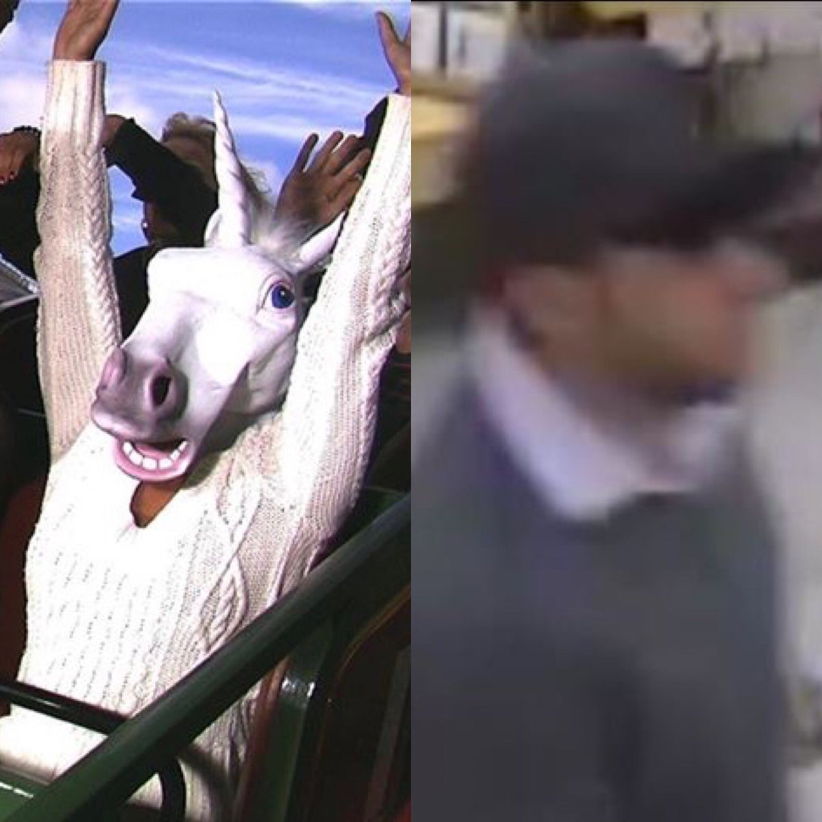 SwedishCanary's tweet image. How is it a theme park can snap a clear pic of you at 70 mph but a bank's security camera can't get a clear pic of a robber standing still?