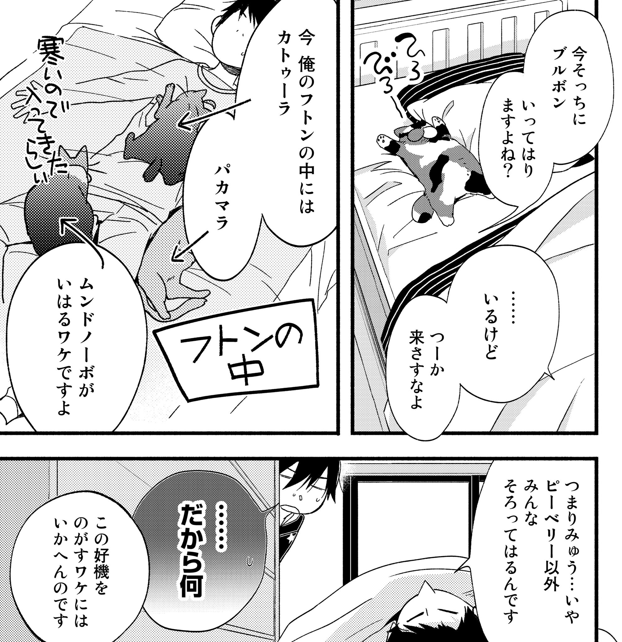 Comicブースト編集部 Twitter પર あらすじ 純喫茶ねこ 杉崎ゆきる 56杯目 寒い冬の朝 ねこと一緒に眠るのは最高ですが 今日はどうやら事情が違うようで ねこ達が大暴れのスーパーキュート回 Comicブースト編集部 Twitter પર あらすじ 純喫茶ねこ 杉崎ゆきる 56杯目 寒い冬の朝 ねこと一緒に眠るのは最高ですが 今日はどうやら事情が違うようで ねこ達が大暴れのスーパーキュート回