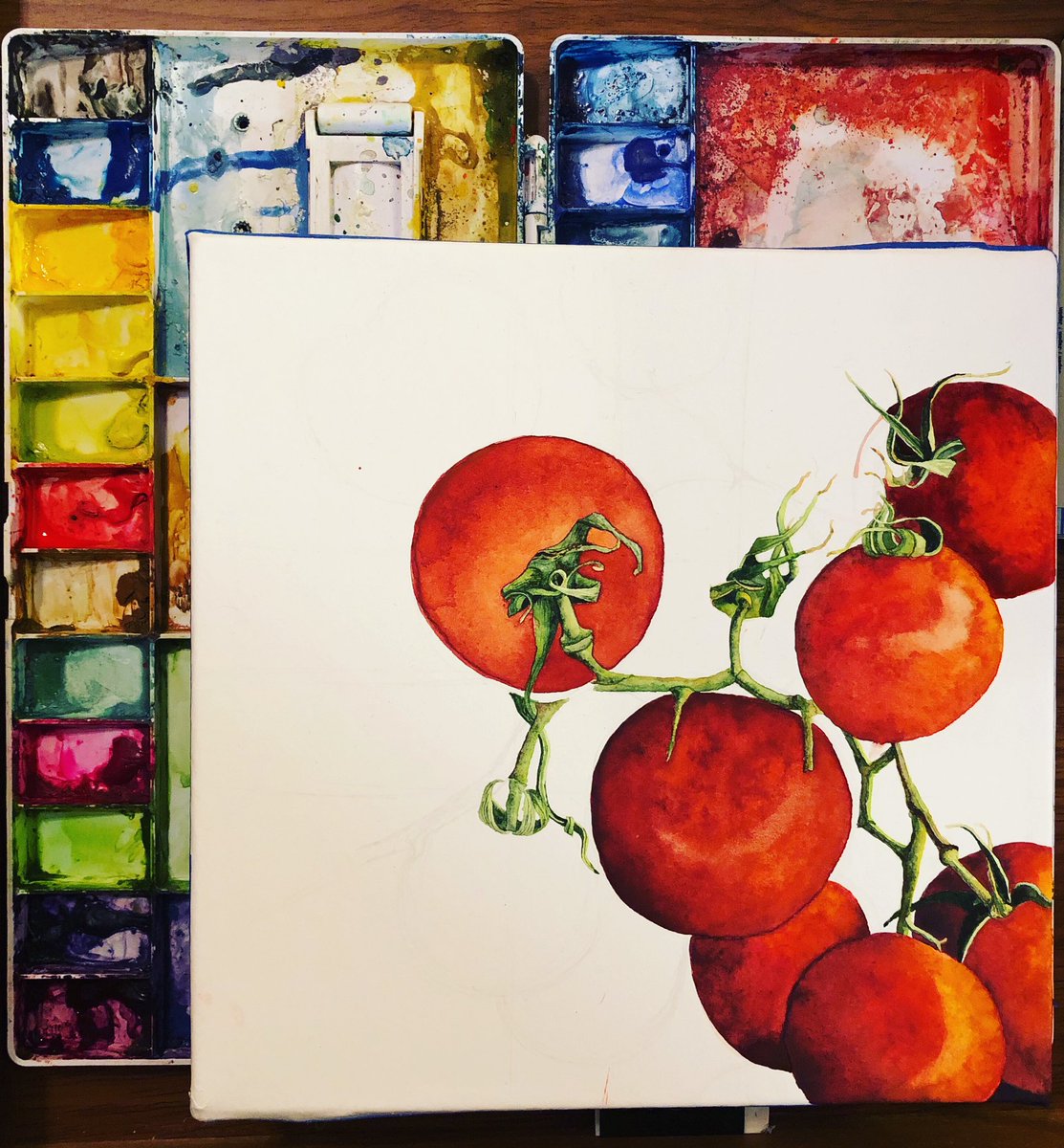 oxandtinder's tweet photo. Tomatoessss 🍅🍅🍅
#wip #workinprogress #watercolor #watercolour #tomato #danielsmith #foodart #gardenart https://t.co/ge4Lm7TGWr