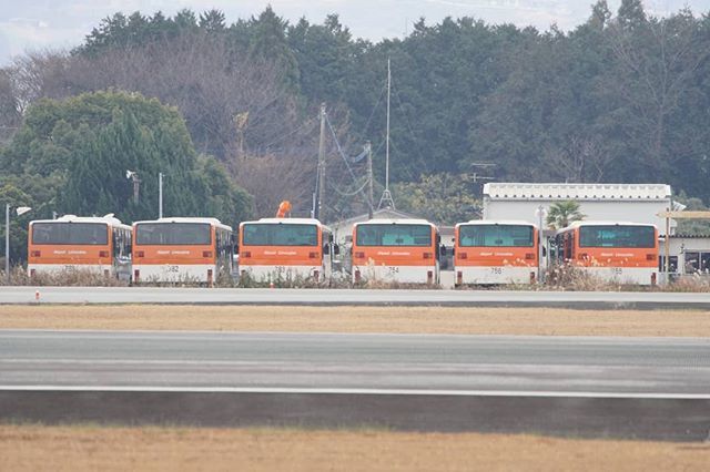 さいばとしゆき 熊本空港のジェネアビエリアに大量の東京空港交通色のエアポートリムジンが 熊本でもランプバス運用 建て替え絡みの準備でしょうか 熊本空港 Rjft Kmj 東京空港交通 エアポートリムジン T Co Vezvfcomow Twitter