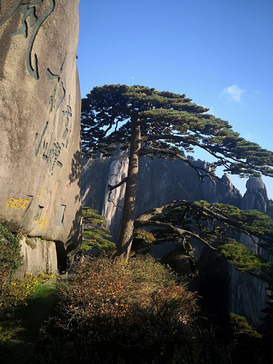 beijingwan's tweet image. 昨夜西风凋碧树。独上高楼，望尽天涯路！