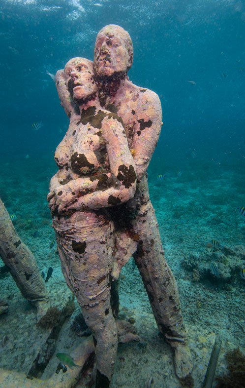 DivePlanit's tweet photo. The Gili Islands is bouncing back from the two devastating earthquakes suffered in July and August 2018. And diving here for the first time, I was really pleasantly surprised how good the diving is... @indtravel https://t.co/lTNfQLUDNb #diveplanit https://t.co/XTM5uP8Zjs