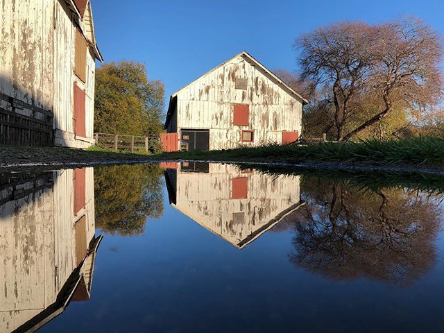 santacruzlife's tweet image. Just a puddle at Wilder Ranch. 💙
#santacruzlife #puddlereflection #wilderranch #thatsmypark bit.ly/2ESRS15