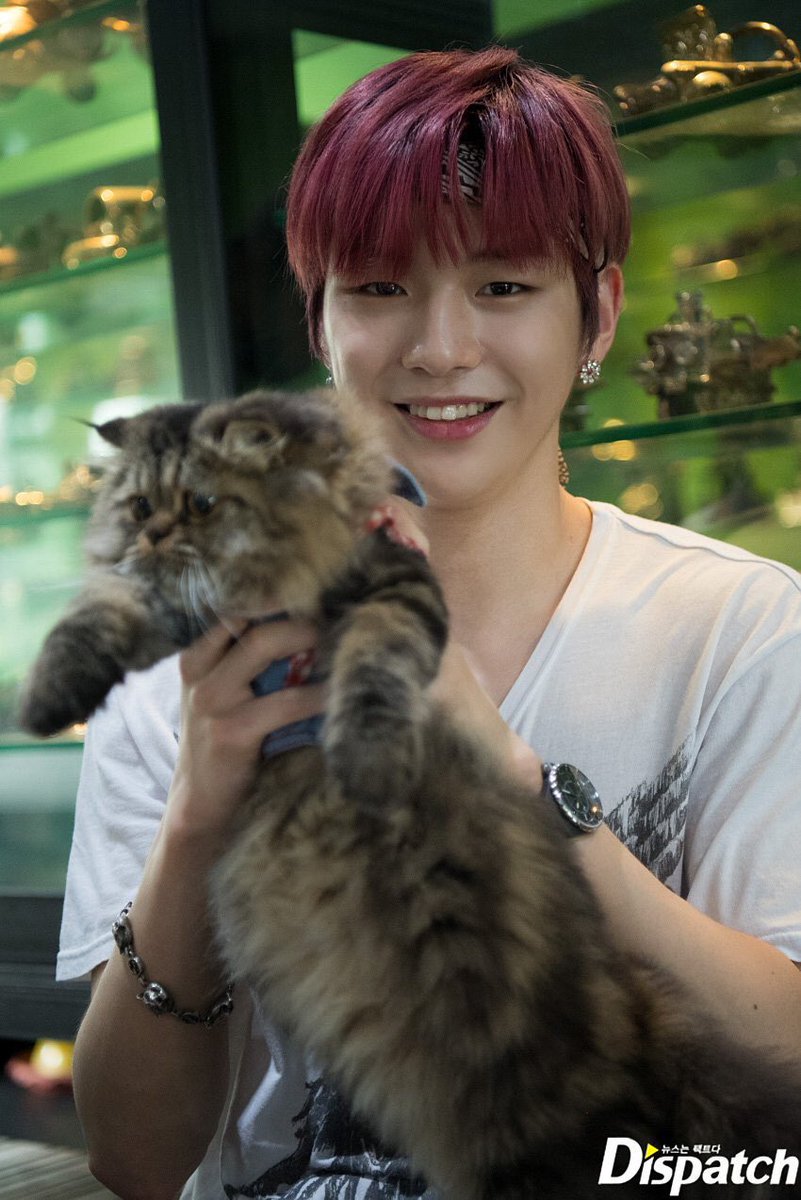 DanielPeachy's tweet photo. แง แมวเล่นกับแมวว https://t.co/fIUKBLpQ51