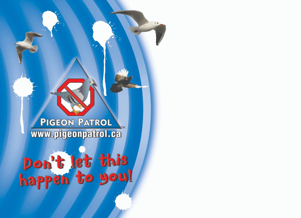 macvrs's tweet photo. @chrismbryan 
We can help you with your pigeon problem! Andrew Contact us. 
Sales@pigeonpatrol.ca   Canada's only manufacturer of bird deterrent products.  https://t.co/wwaw8zFgMH https://t.co/hRUlxFoKzX