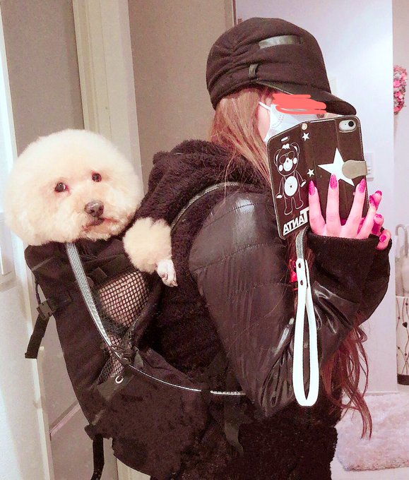こんな感じでチャリ乗って帰宅しました🐶🚴&zwj;♀️ https://t.co/RcOTdtUSWn