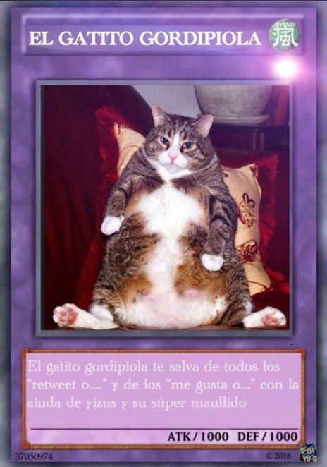 httpsxdossas's tweet image. 