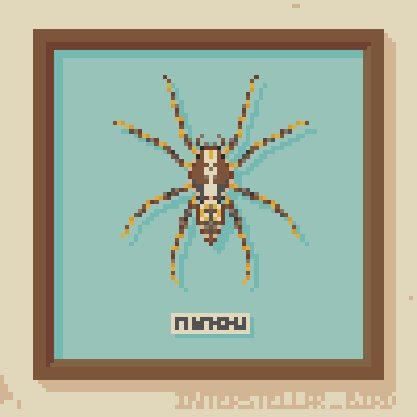 yet more wolf spiders
