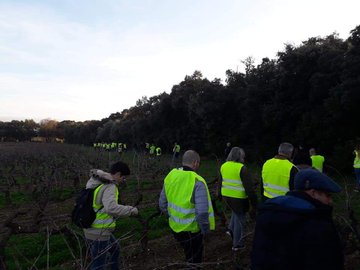 Προβολή εικόνας στο Twitter