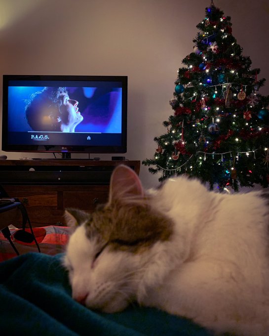 I got this far before Floof bailed on me and I realised I was now fully responsible for Stefan. #BlackMirror<a href="/tag/blackmirror"class="tags"><span>#blackmirror</span></a><a href="/tag/bandersnatch"class="tags"><span>#bandersnatch</span></a>