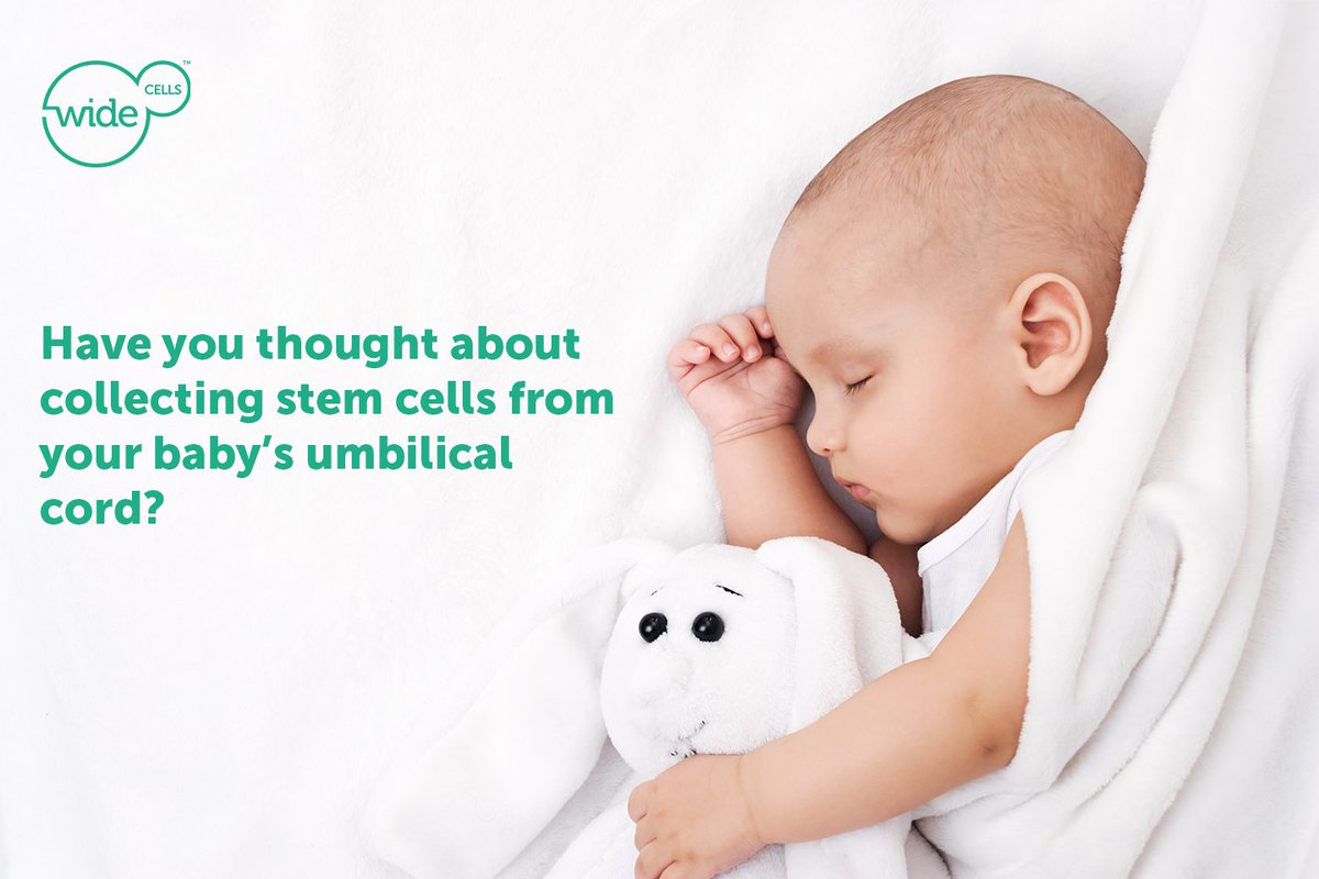 WideCells_UK's tweet photo. Cord blood is very rich in stem cells and can be easily collected, processed and stored for later use in the treatment of many diseases and disorders. Learn more: https://t.co/2EaPt524p8 #stemcellcollection https://t.co/sMOgtYYJHv