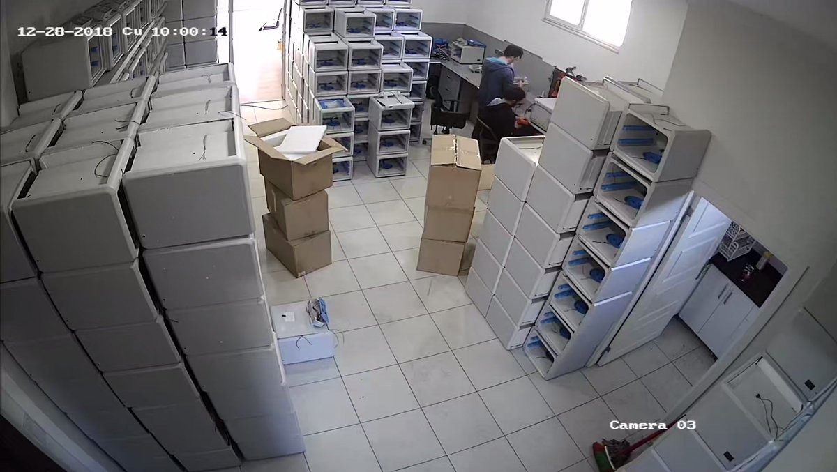 We produce without stopping, most economical, high efficiency, plug play easy to use egg ingubator. #icivciv #incubator #Goose #Egg #poultry #kuluckamakinesi #kuluckamakinası