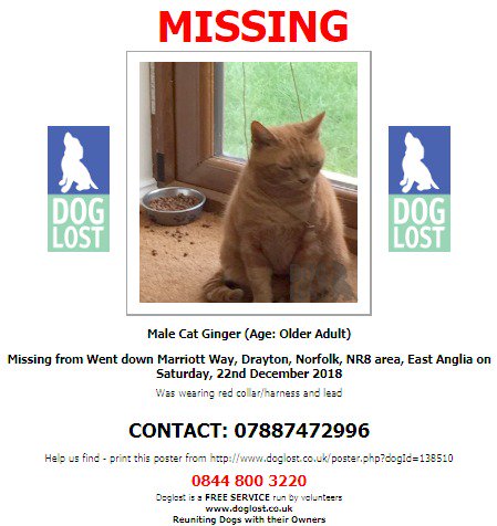 DogLostUK's tweet photo. #LOST #CAT 
Male Ginger Older Adult
#Missing from #MarriottWay #Drayton #Norfolk #NR8 
 Saturday 22nd December 2018
#LostCat #ScanMe @SAMPAuk_ @VetsGetScanning 
https://t.co/02cjCfmlHB https://t.co/fSB5xH9TYw