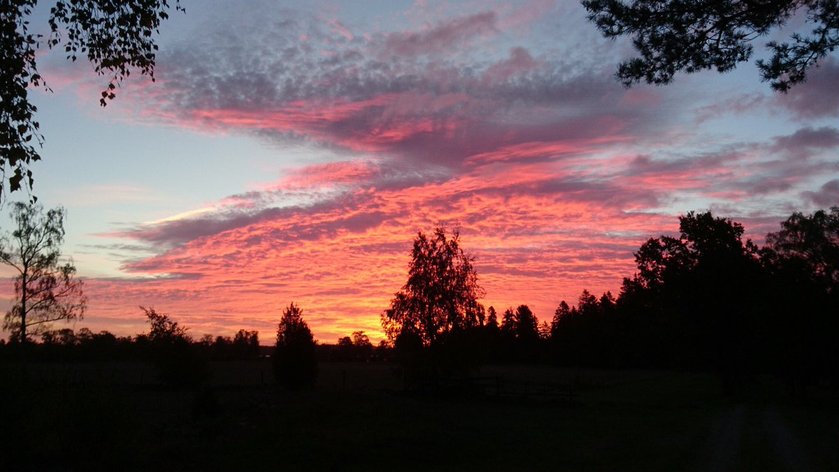LisavonSteijern's tweet image. Missing mornings like this ...... nowadays they are just gray and wet....Malmö winter
#archivephoto #malmō #photofrommyheart
