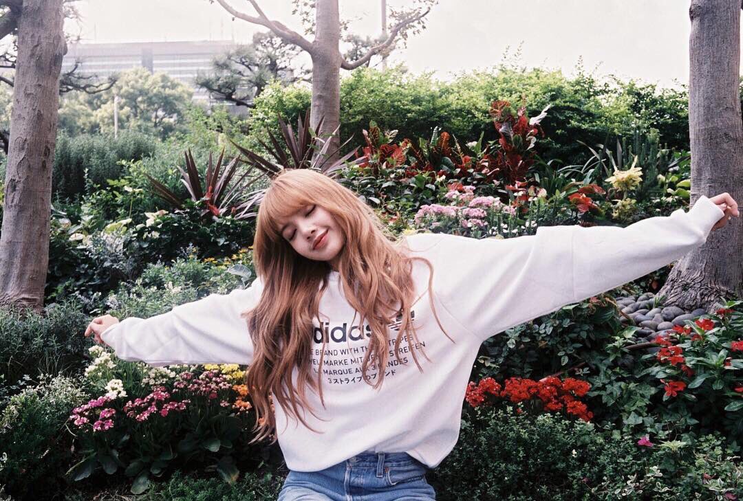 ˓ ♡ ˒ แยมปัง 𓈒🛒〰︎ tweet media