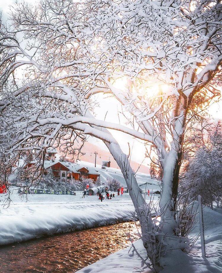 MissCelaneaOne's tweet image. Happy snowy day #Felizviernes🌹