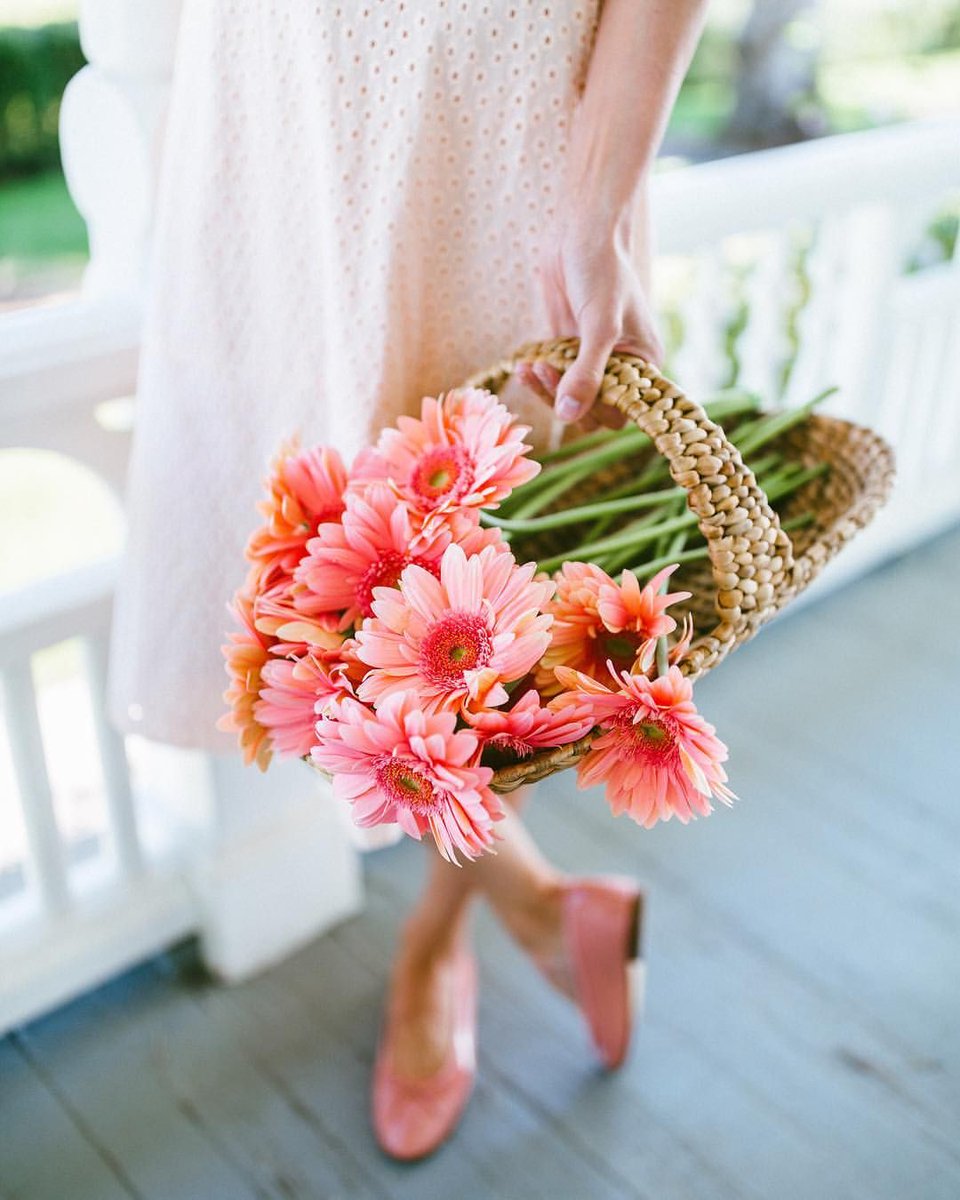 BurbankFlower's tweet photo. #FloralFacts #gerberadaisies 🌼

If you face difficulty in sleeping then just put some gerbera #daisies near your bed and see the magic.

#BurbankFlowerDelivery #FlowerDeliveryBurbank #flowermagic #flowerlove #forflowerlovers #flower #hollywood #beverlyhills #LosAngeles https://t.co/NoXfHYuTKm
