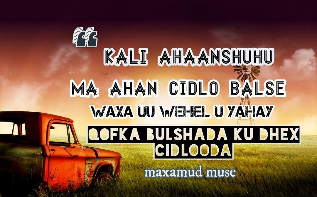 max mosses tweet media