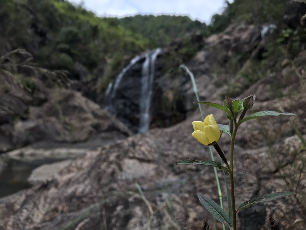 singlefish1's tweet image. 天然美景