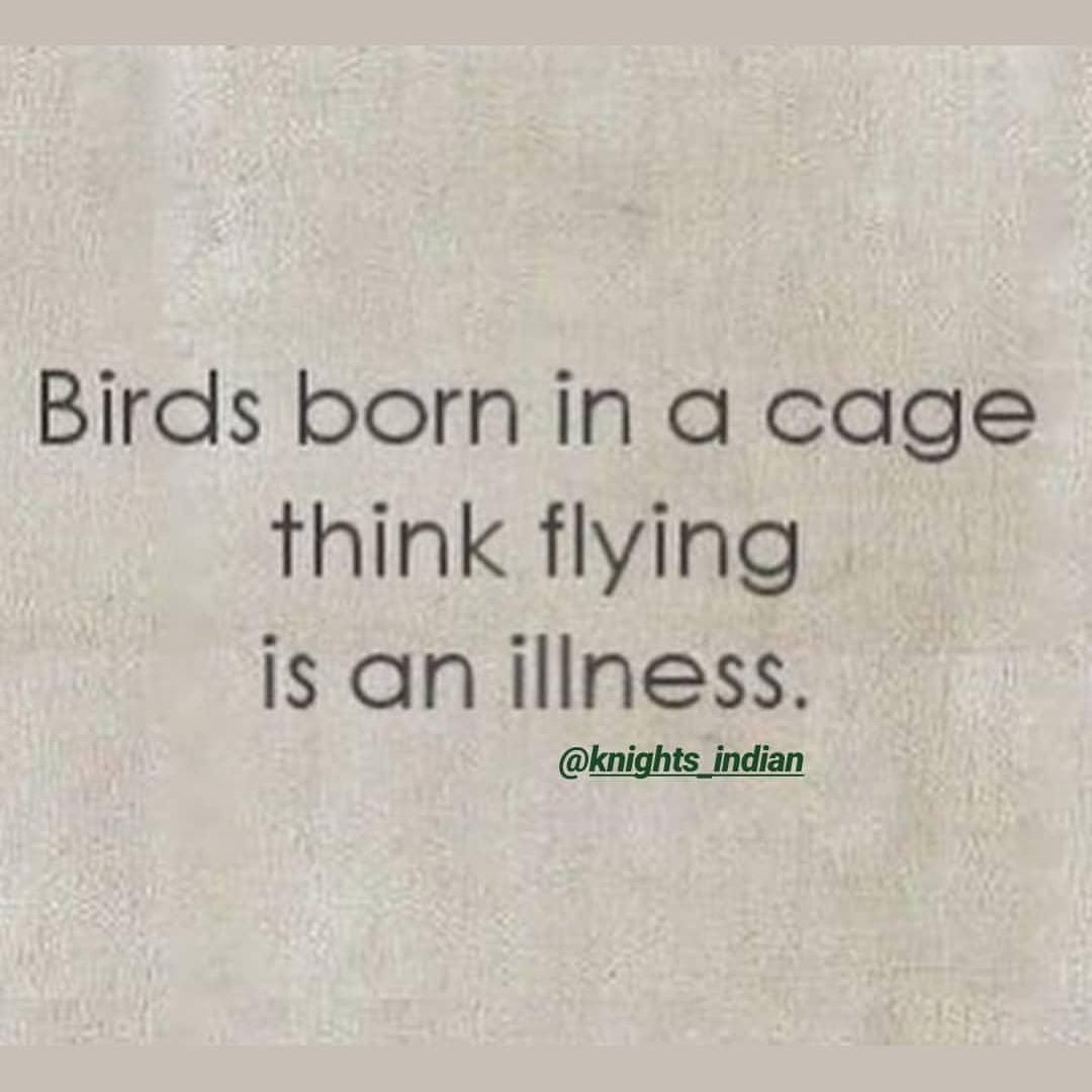 Knights_Indian's tweet photo. #ThinkPonderReflect https://t.co/UzOQ2Bov45