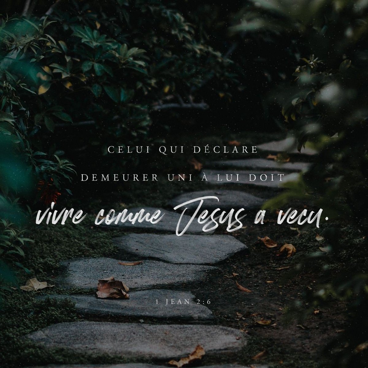 Jacques68275209's tweet photo. Le chemin et la vérité c es dieu le père, bonjour famille https://t.co/LSAo0qV4Pi