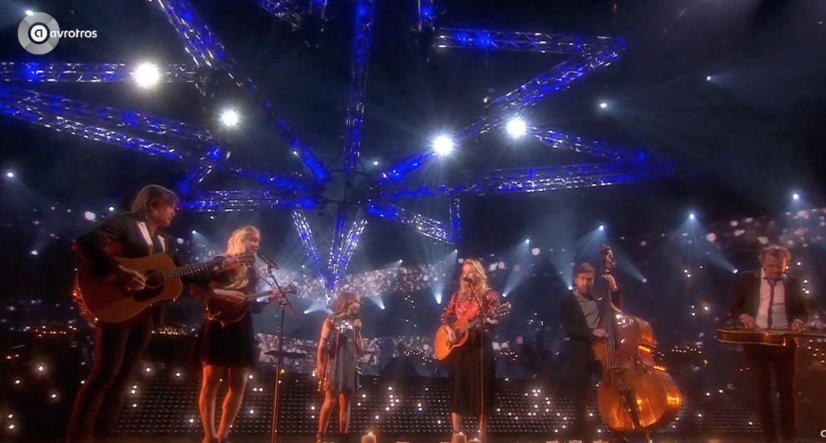 CommonLinnets photo