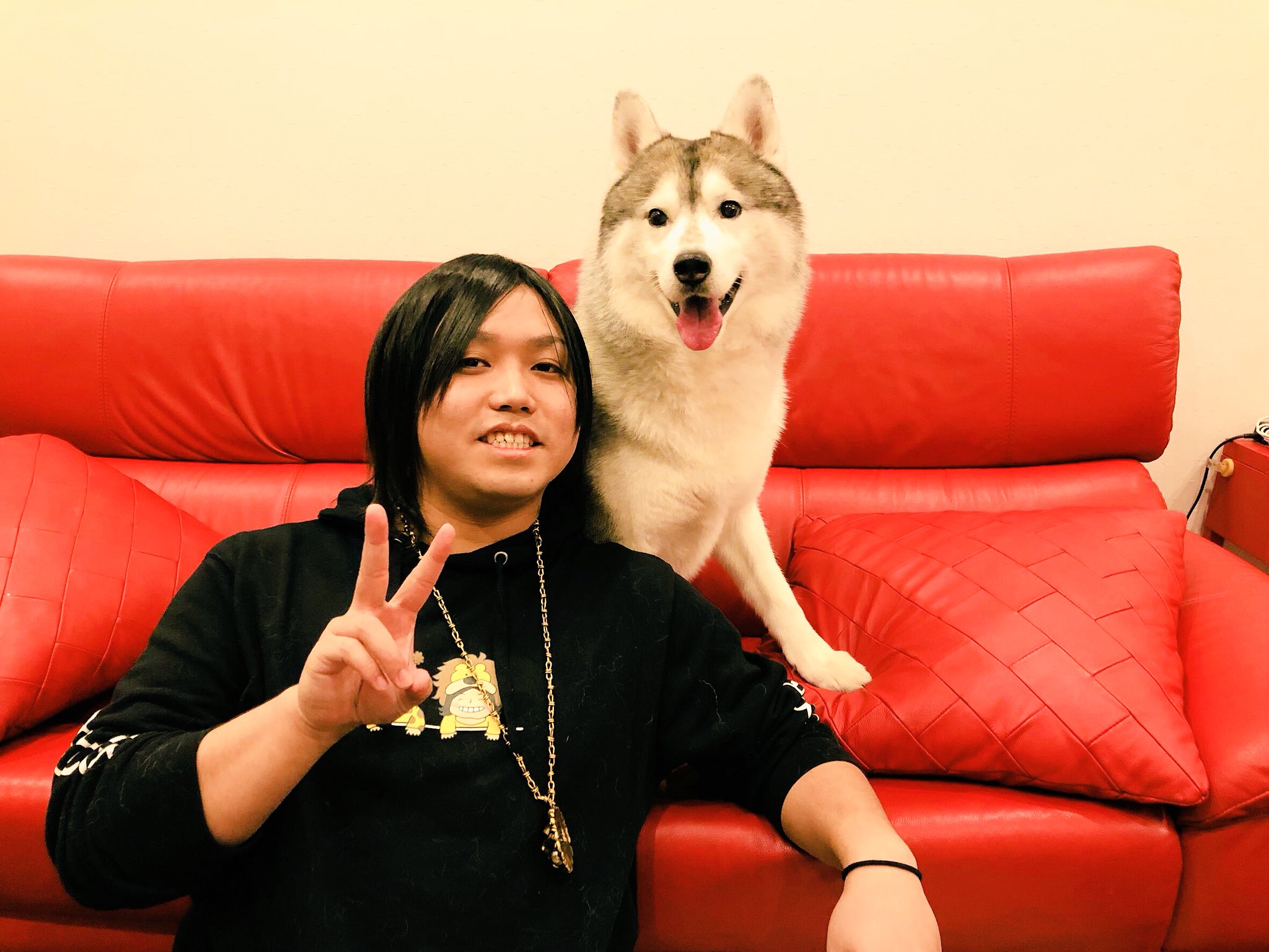 トミー 水溜りボンド 在 Twitter 上 シベリアンハスキーの文太に会ってきました 30分しか居れなかったのにすぐ仲良くしてくれてとっても楽しかった T Co Di8qyzalur Twitter