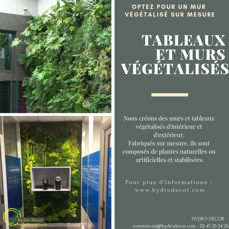 Hydrodecor37's tweet photo. Tendance : les murs et tableaux végétalisés. 🖼️

Pour plus d’informations : https://t.co/pqoG69KPPG

Pour plus de renseignements : commercial@hydrodecor.com https://t.co/f40SiZFgce